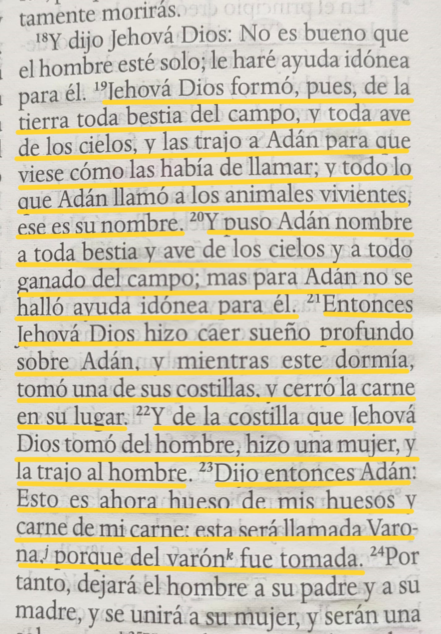 LA IMPORTANCIA DE LOS CONFLICTOS. Génesis 2:19-23 19 Jehová Dios formó, pues, de la tierra toda bestia del campo y toda ave de los cielos, y las trajo a Adán para que viese cómo las había de llamar; y todo lo que Adán llamó a los animales vivientes, ese es su nombre. 20 Y puso Adán nombre a toda bestia y ave de los cielos y a todo ganado del campo; mas para Adán no se halló ayuda idónea para él. 21 Entonces Jehová Dios hizo caer sueño profundo sobre Adán, y mientras este dormía, tomó una de sus costillas, y cerró la carne en su lugar. 22 Y de la costilla que Jehová Dios tomó del hombre, hizo una mujer, y la trajo al hombre. 23 Dijo entonces Adán: Esto es ahora hueso de mis huesos y carne de mi carne; esta será llamada Varona, porque del varón fue tomada.
